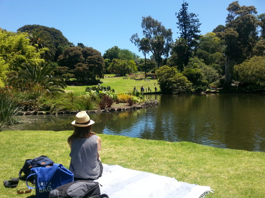 Birthday picnic in the Botanic Gardens